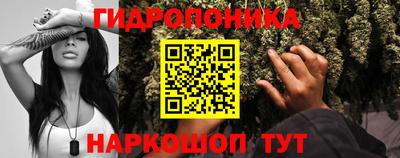 гашик Бугуруслан
