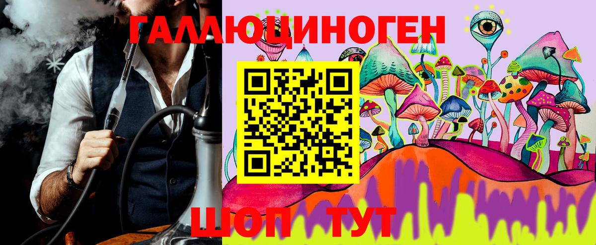 Галлюциногенные грибы Cubensis Протвино
